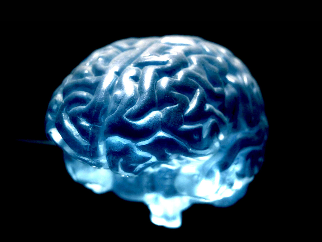 schematic image of a brain