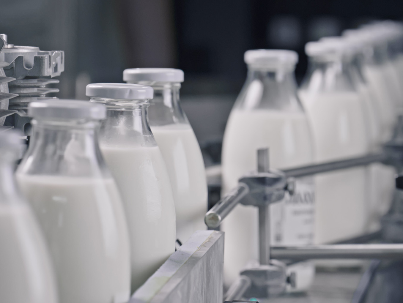 Milk in bottles on the production line