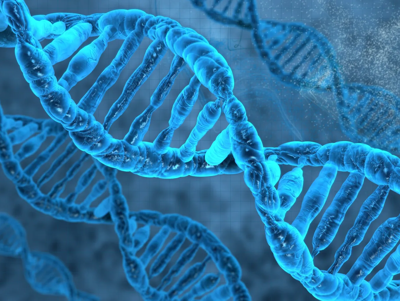 dna strand