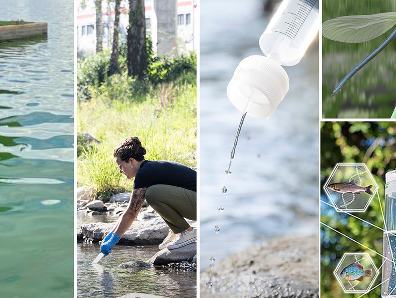 A collage of people working with water in different capacities