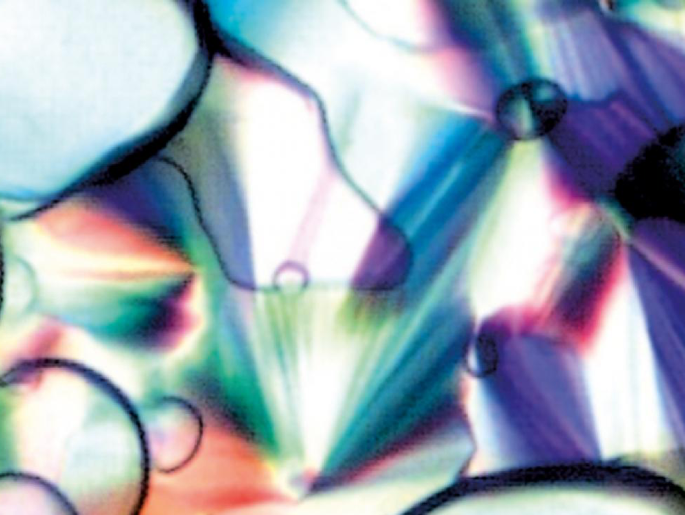 Colorful structures under a microscope