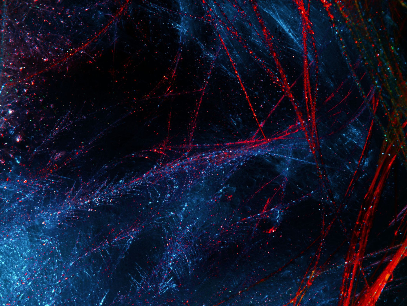 Creative quantum physics