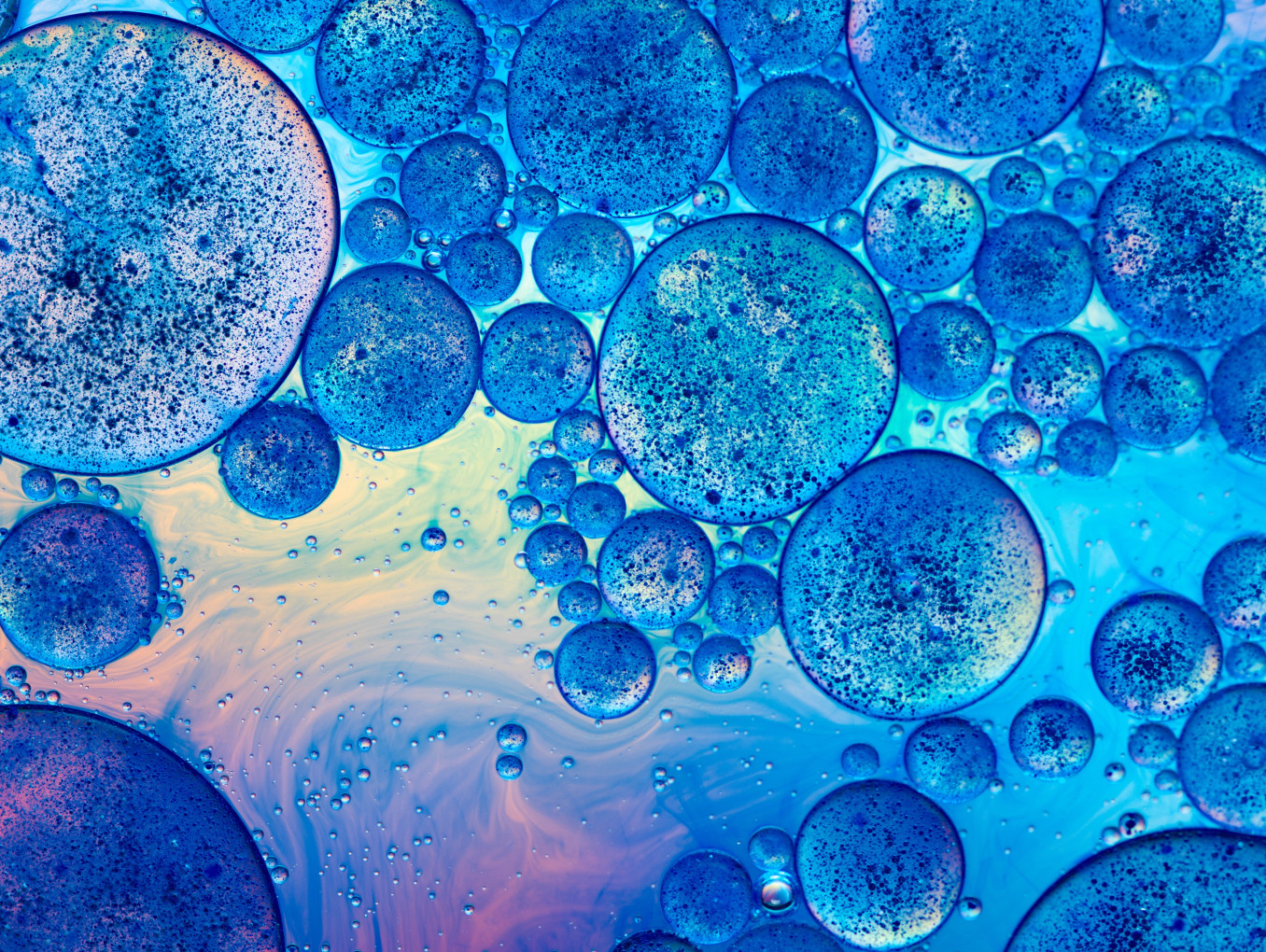 Microbes in calming blue purple gradient colours