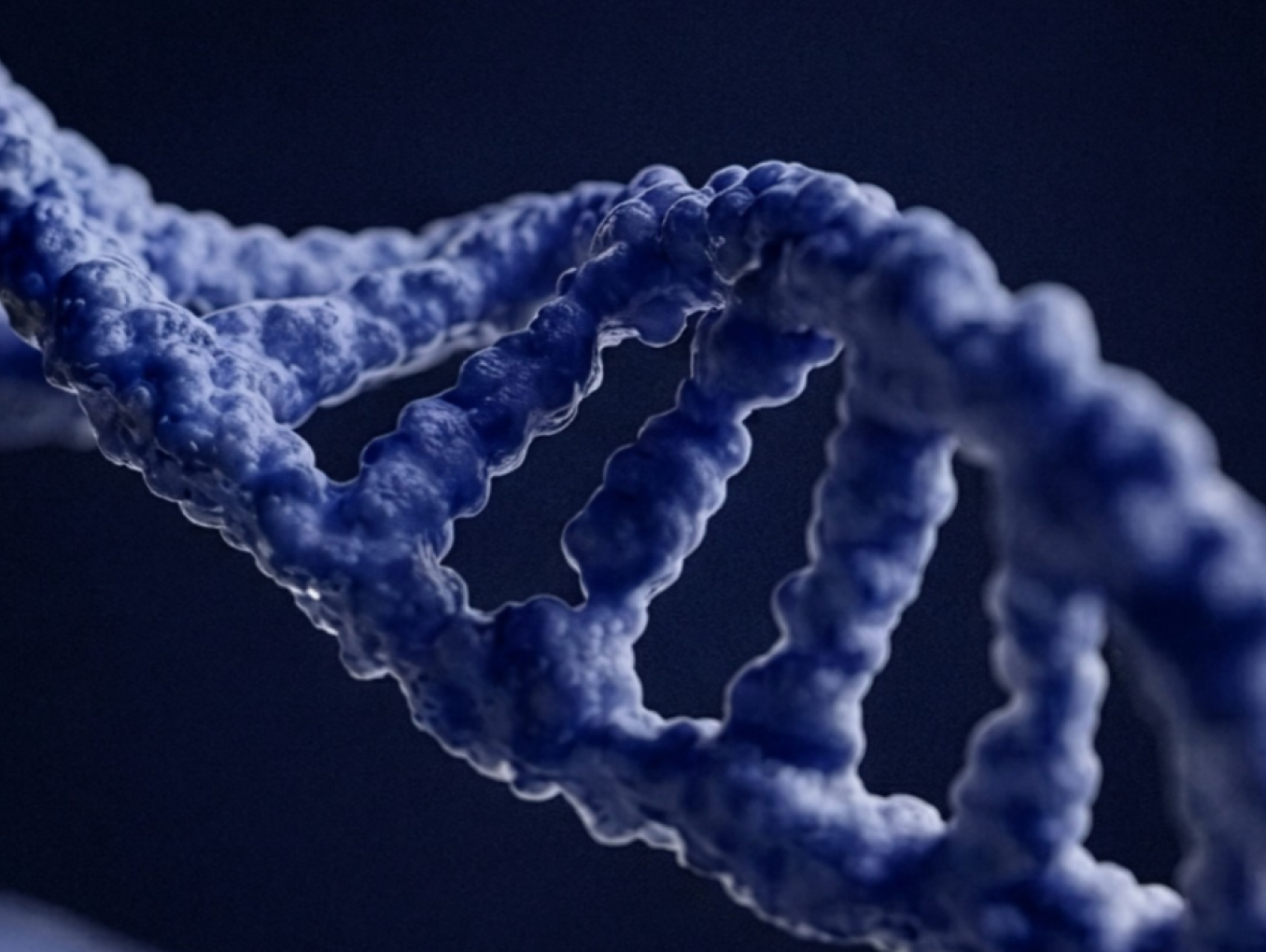 Strand of DNA