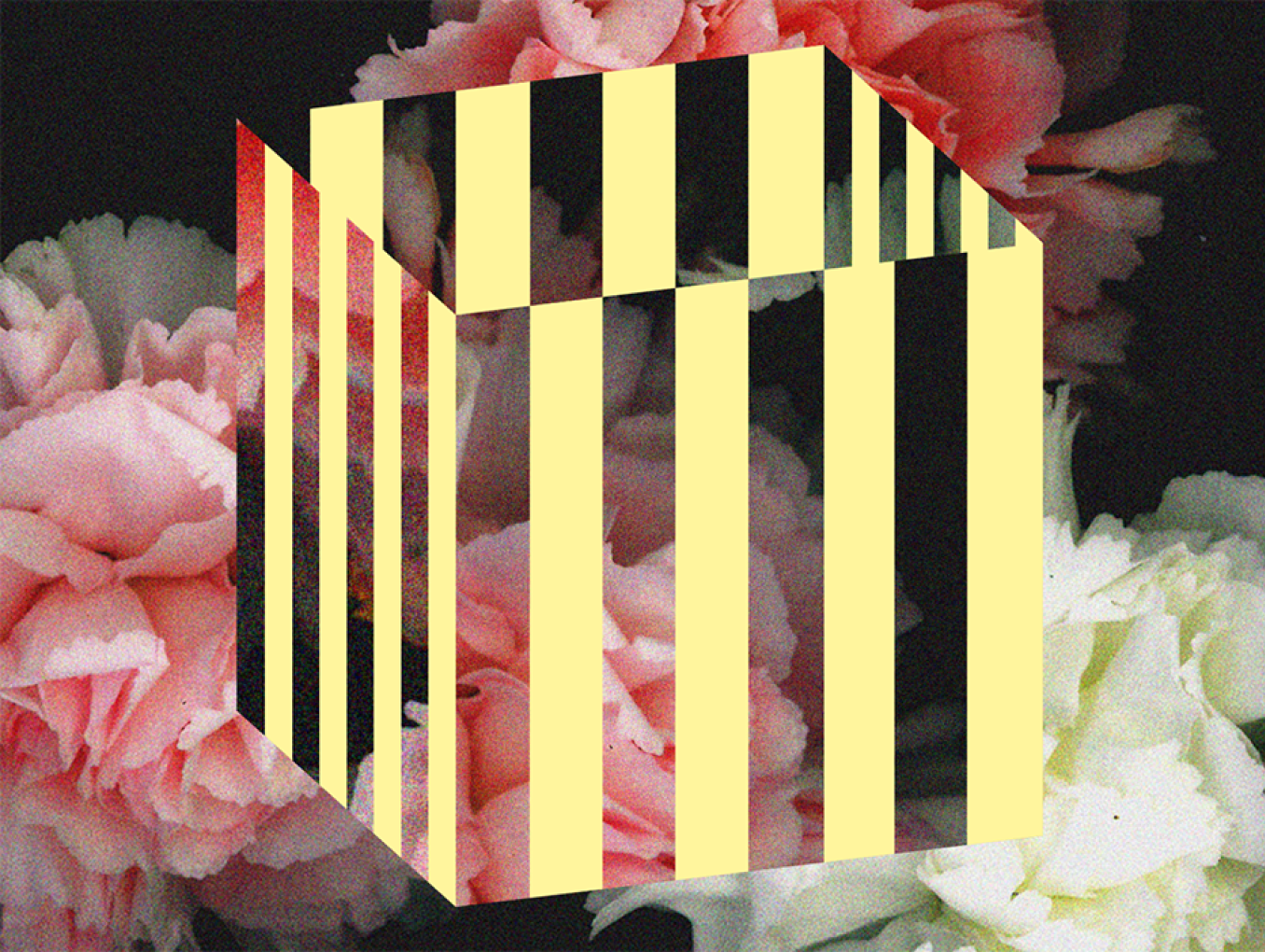 A flower cube with yellow stripes