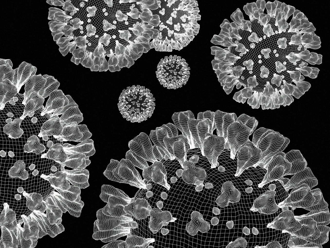 A grid depiction of the COVID 19 Virus