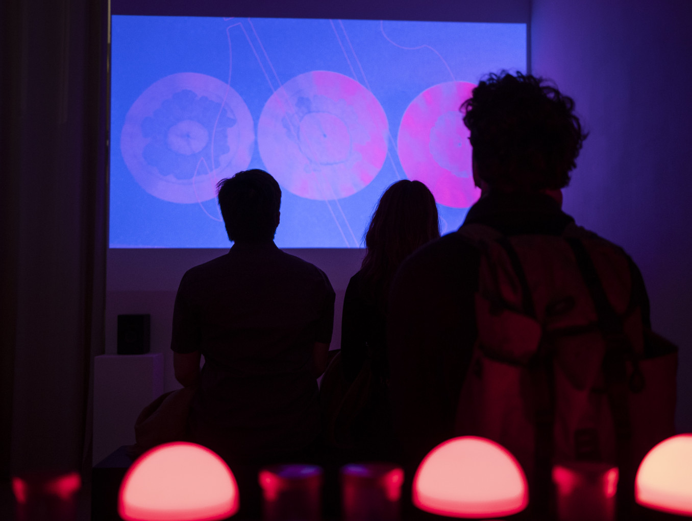 People watch a film in a dark room 