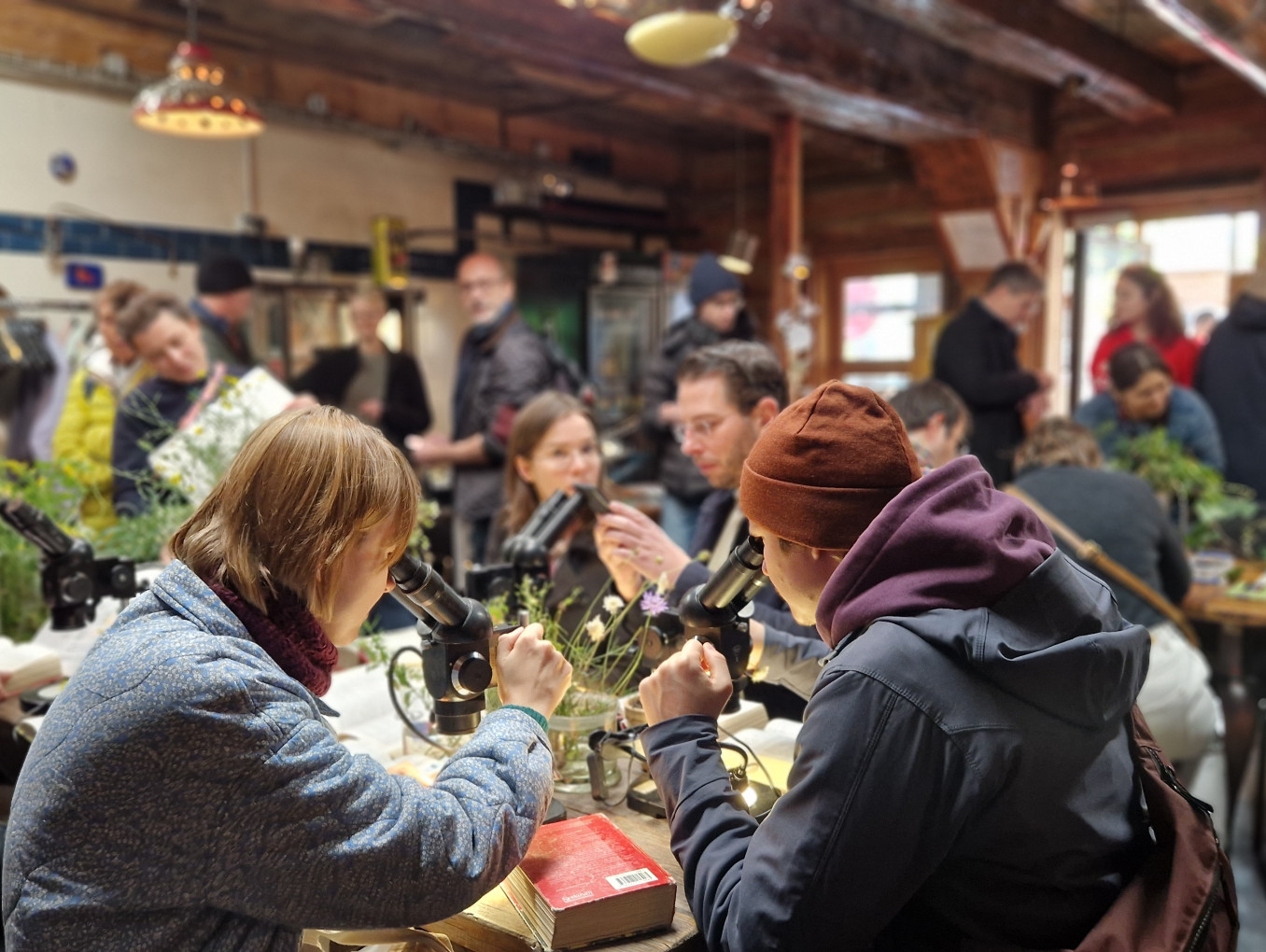 Young people look through microscopes. 