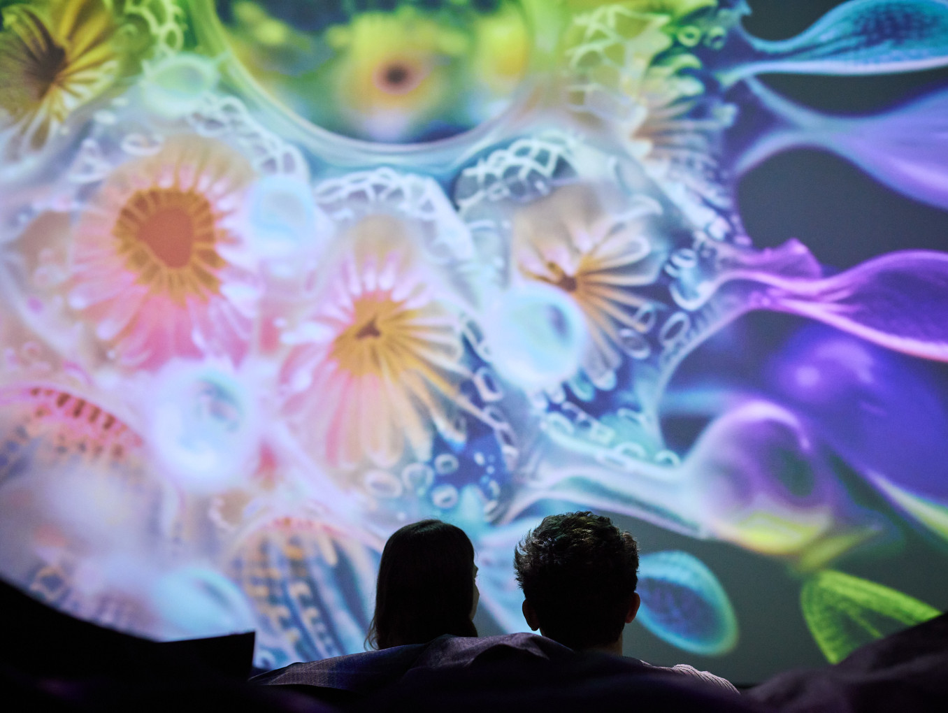 Two people looking at bubbles on a screen