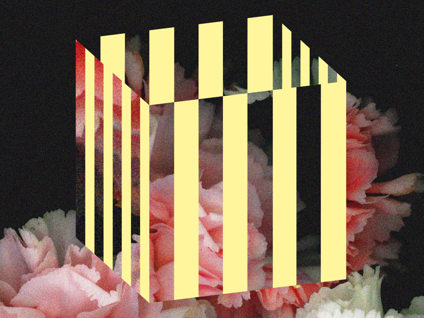 Yellow stripes on a floral cubes