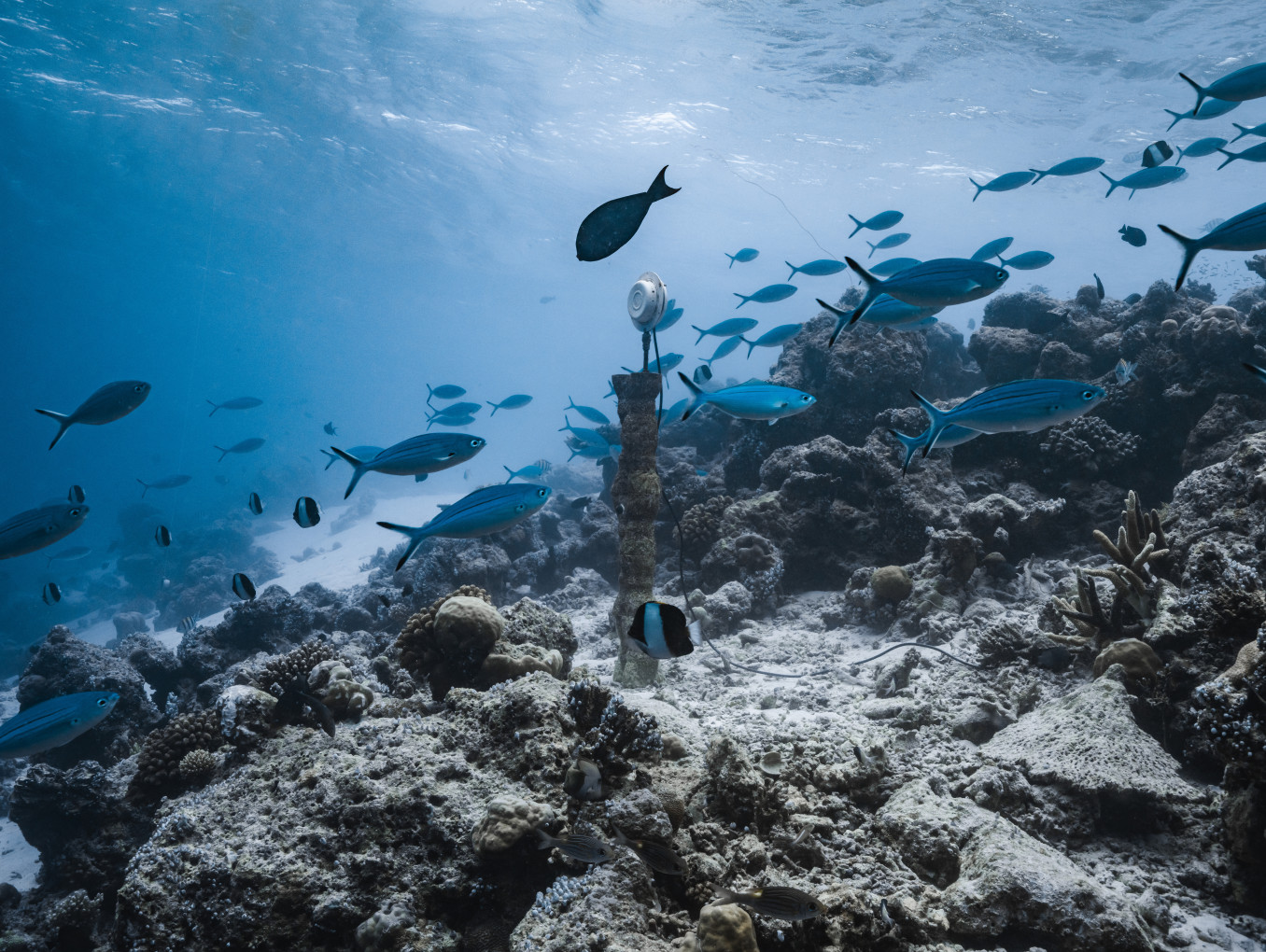 Sound sculpture under water