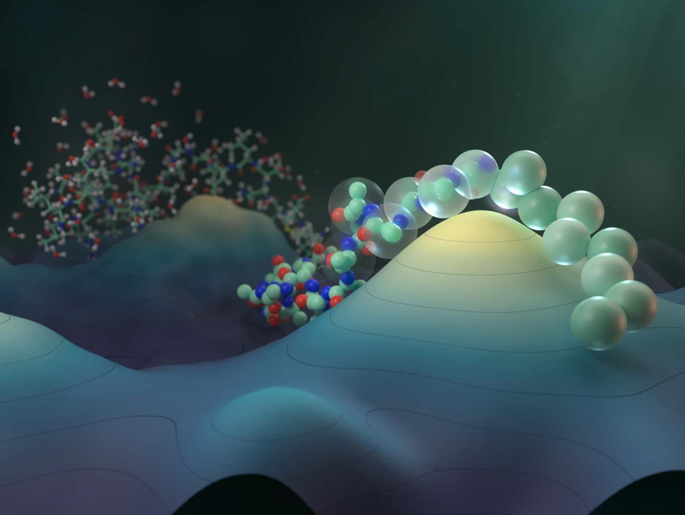 Model of protein structures