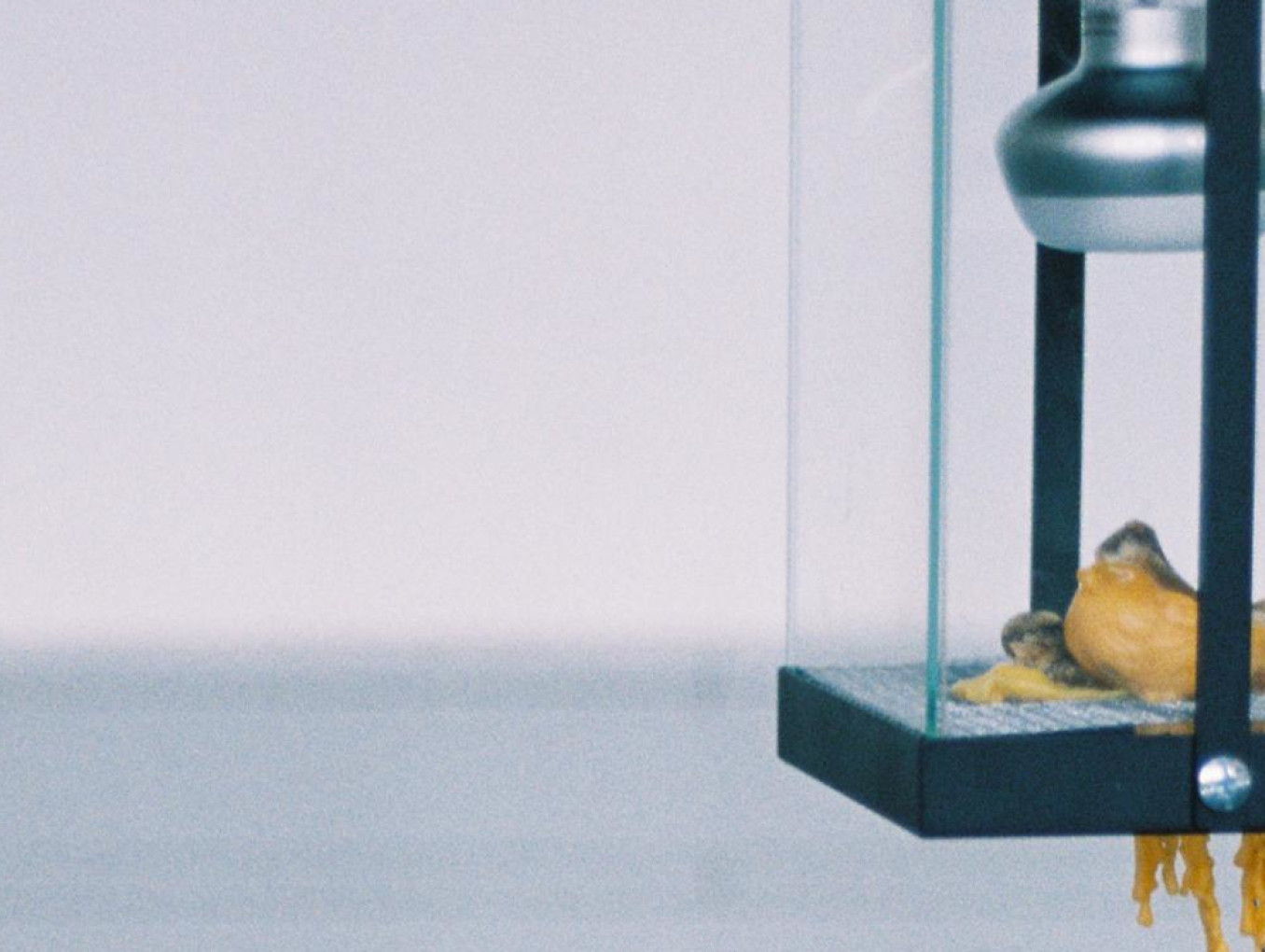 Image of a wax bird melting under a light bulb. Artwork by Jung Hsu.