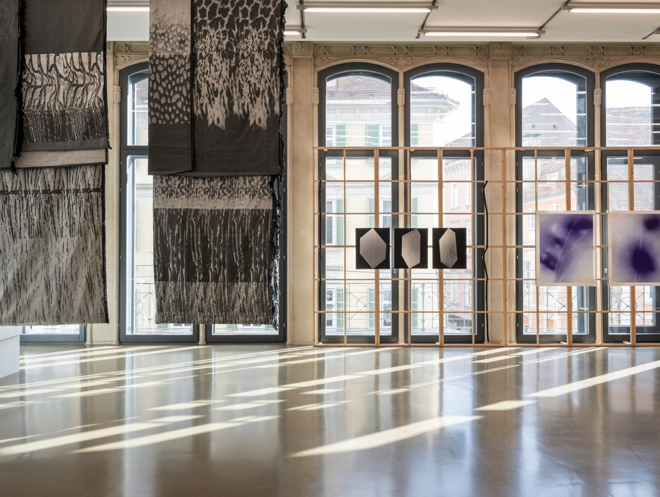 Ausstellungsansicht Ray, Rock, Rowan (Being A Photograph), Camera Austria 2025