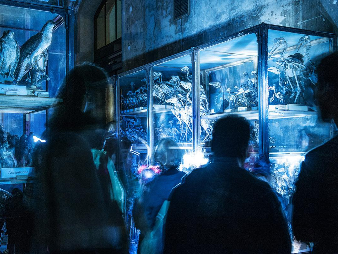 people stand in front of a exhibtion display in a dark museum