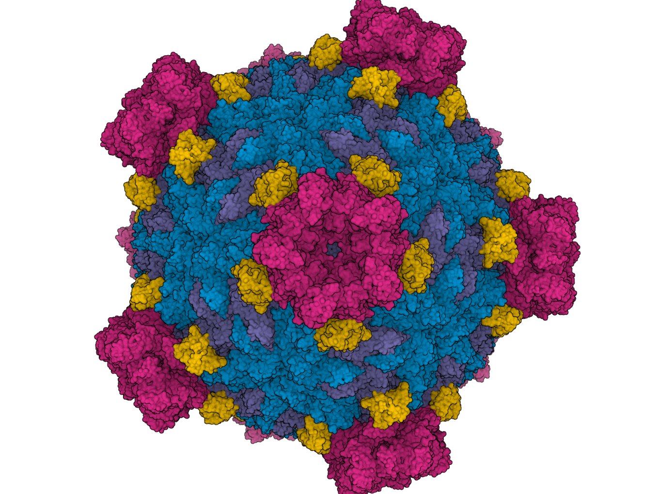 Cryo-EM reconstruction of Fako virus capsid of family Reoviridae showing viral proteins: turret protein (red), homodimer of major capsid protein (blue/purple), and clamp protein (yellow)