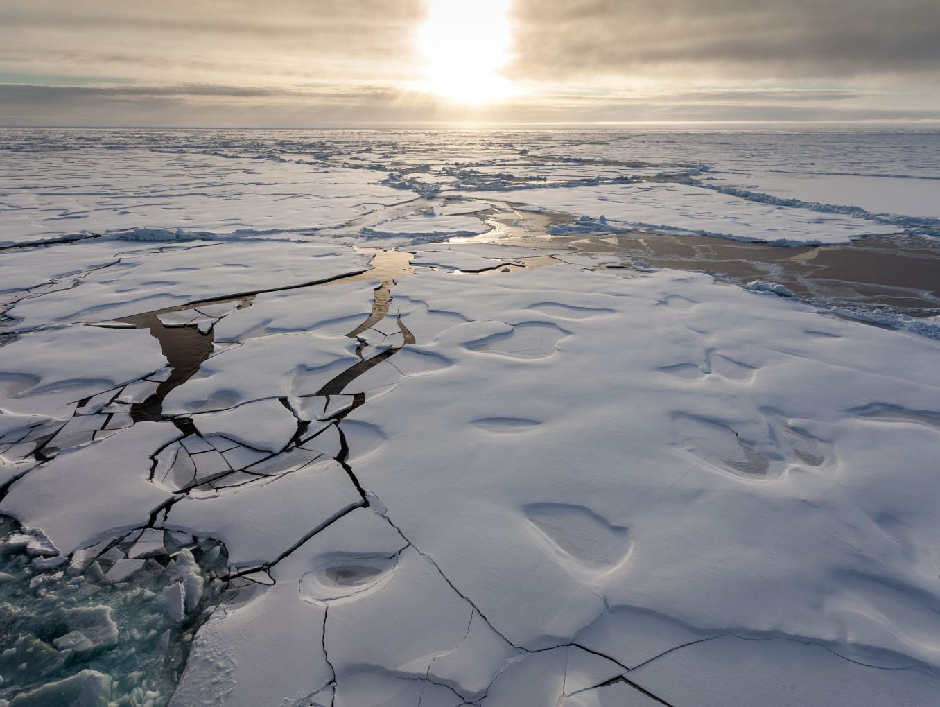 Arctic Sea Ice