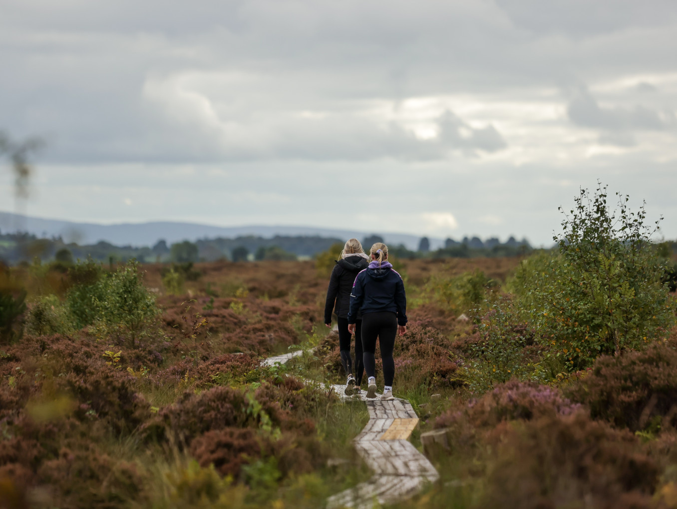 two people walking away from the camera in a peatland