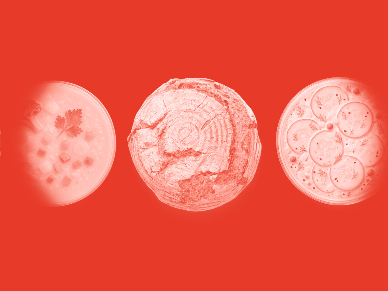 plates with food arranged in a row like phases of the moon 