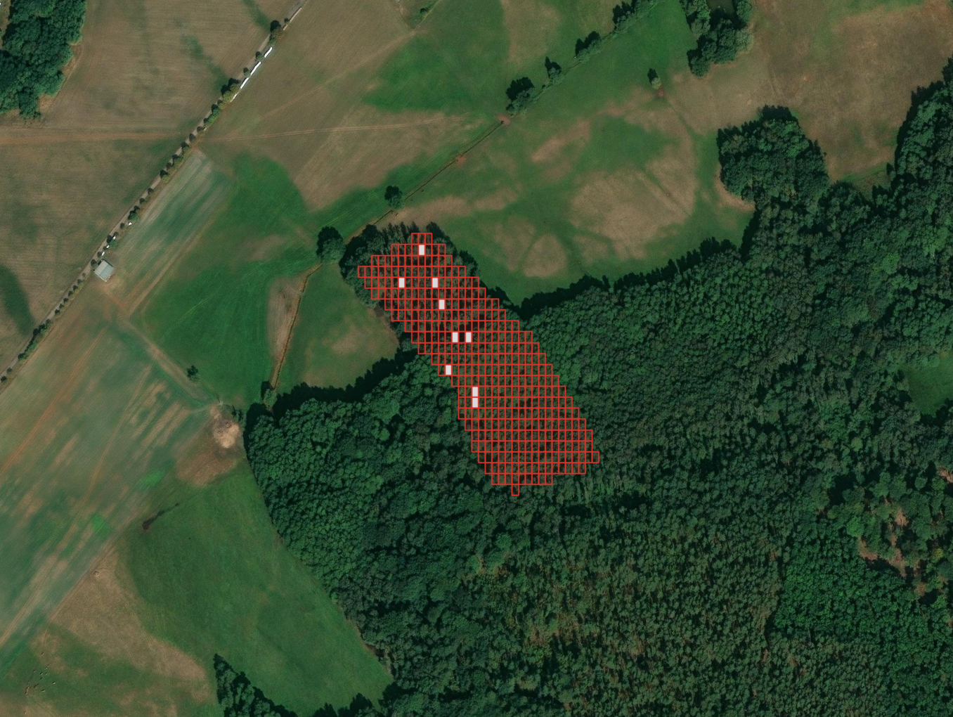 Satellite view of a forested area with red grid overlays indicating a section of the land, showing a mix of cleared fields and wooded areas.