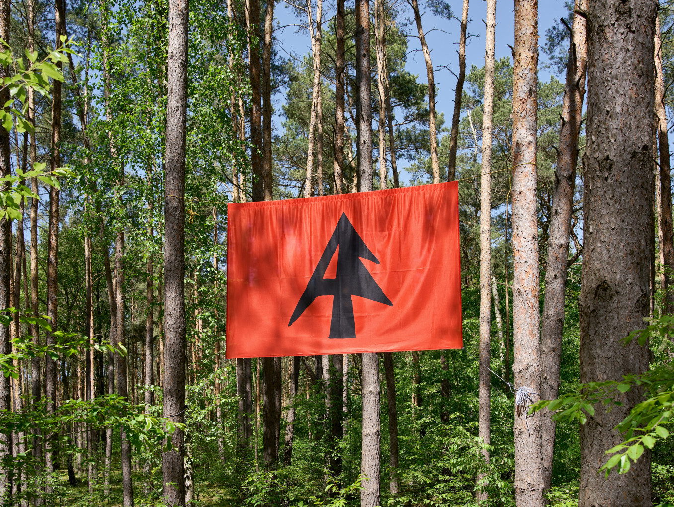 Red flag with a bold black abstract tree-shaped symbol hanging between trees in a dense forest under clear blue sky.