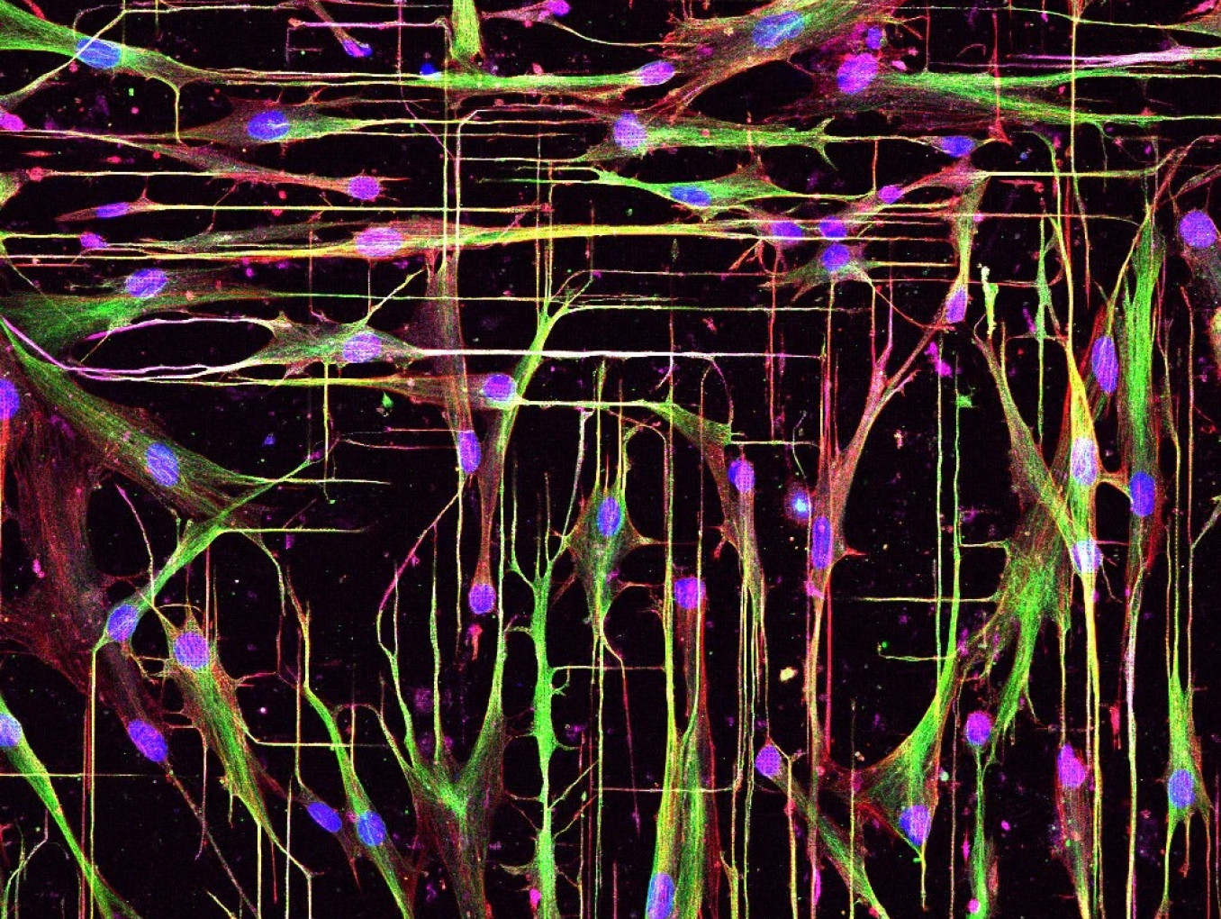 Painting of neon cells. 