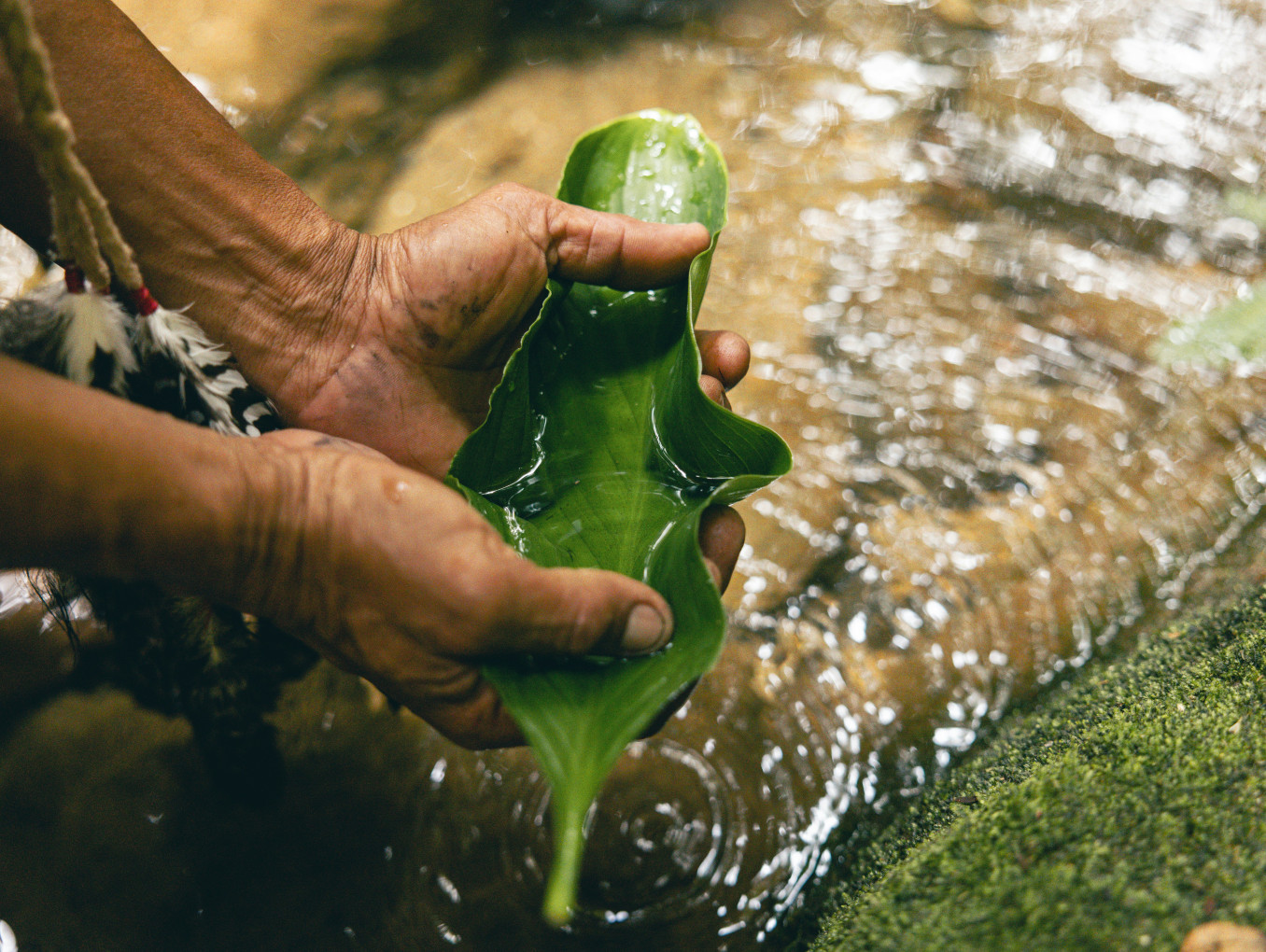 Hands holding a leaf that cups water over a river