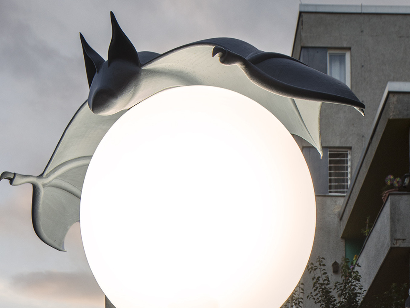 Nightcaps: Bat hovering over street lantern, Alona Rodeh