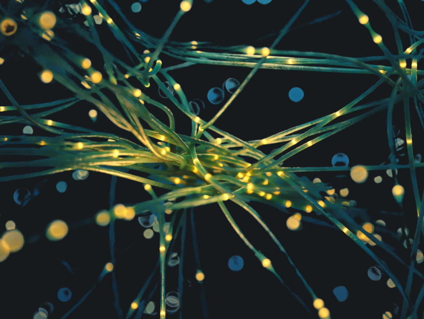 Two digital human profiles face each other across glowing networks, suggesting science, dialogue and connection across borders.