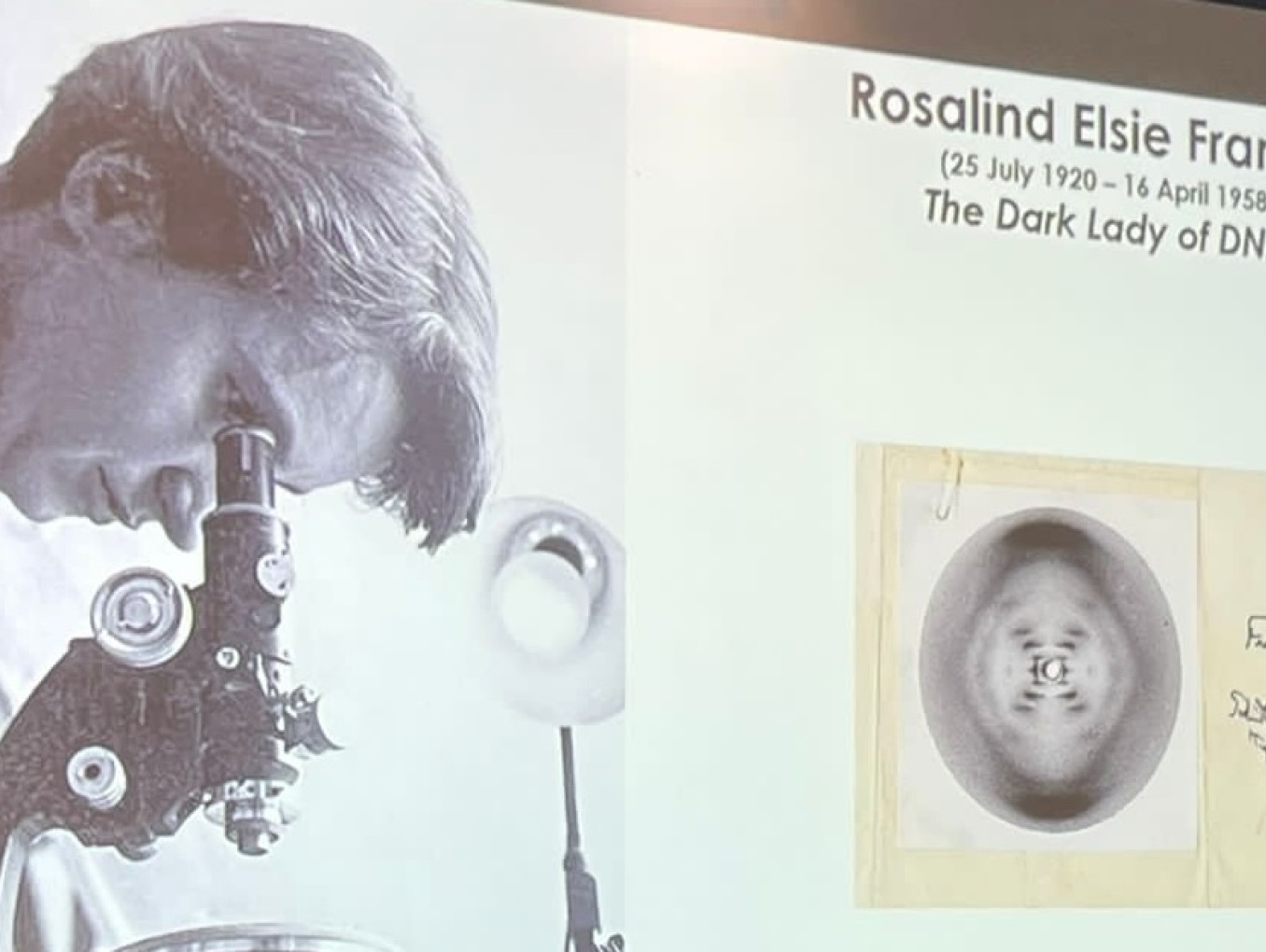 Rosalind Franklin Dna