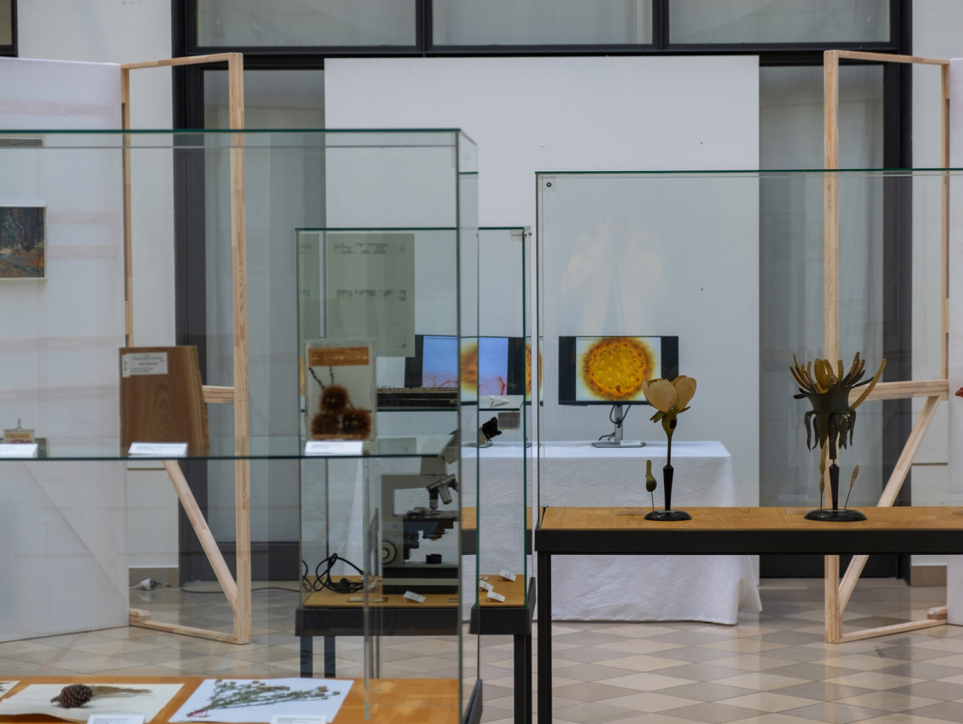 Zusammenstellung von Ausstellungsobjekten