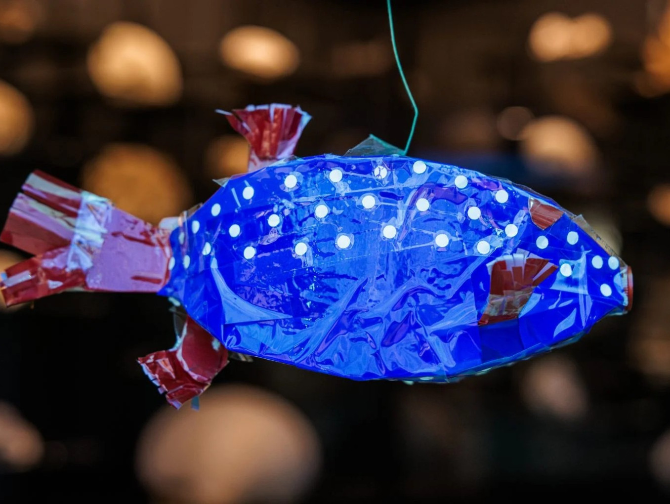 Ein selbst gestalteter Kofferfisch im Humboldt Labor