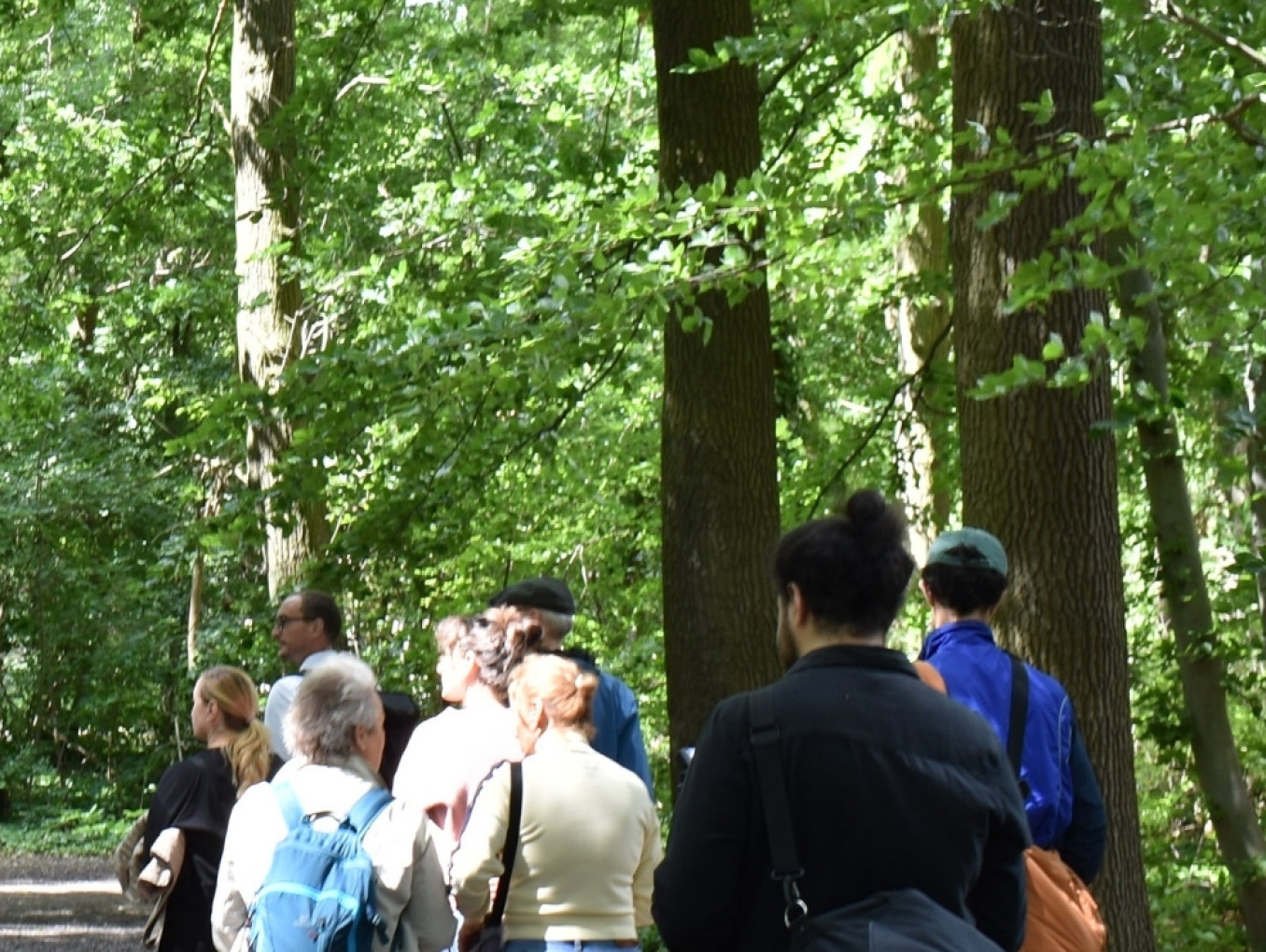 People outside walking in the green area
