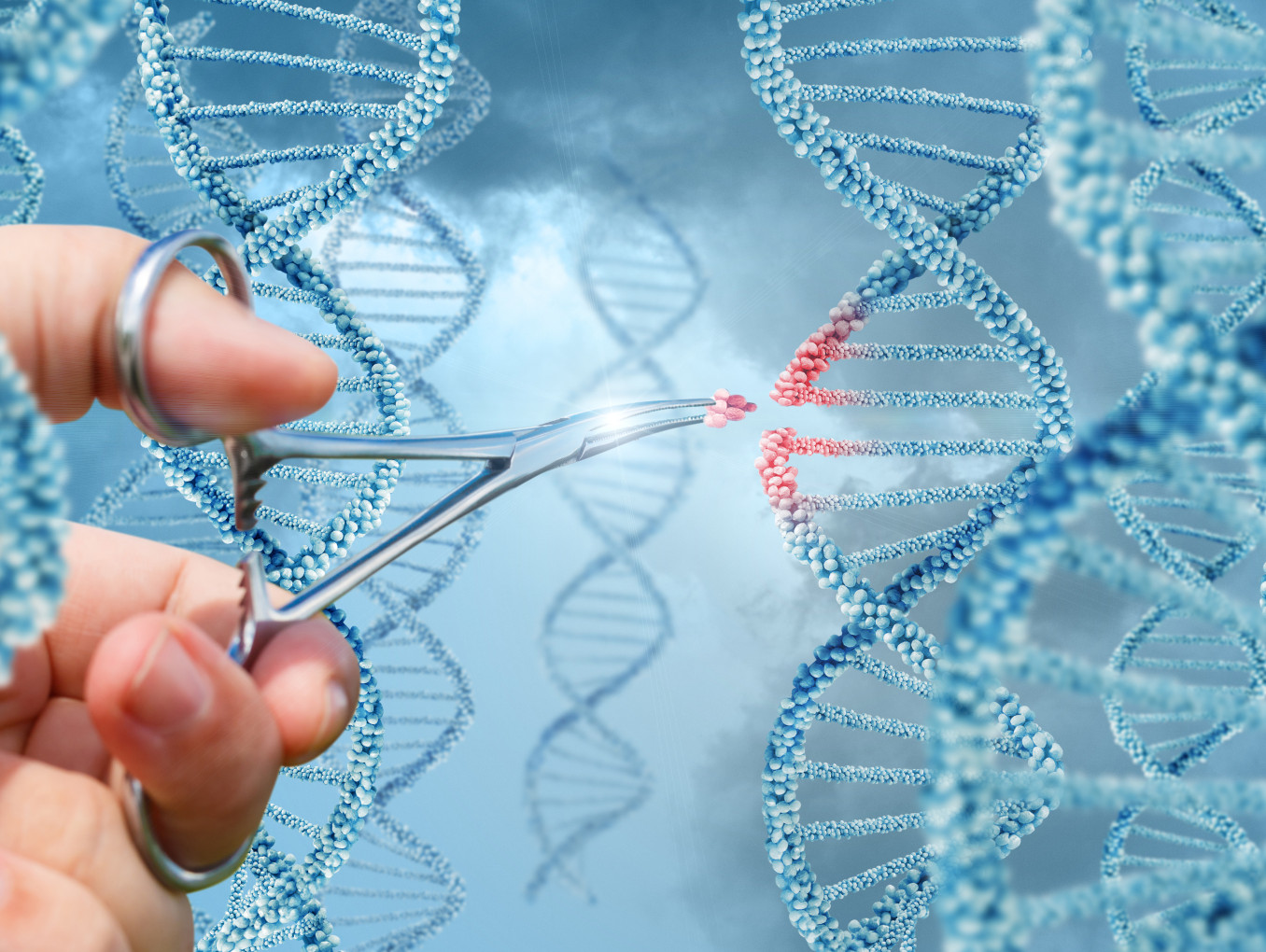 Hand inserts a molecule into DNA