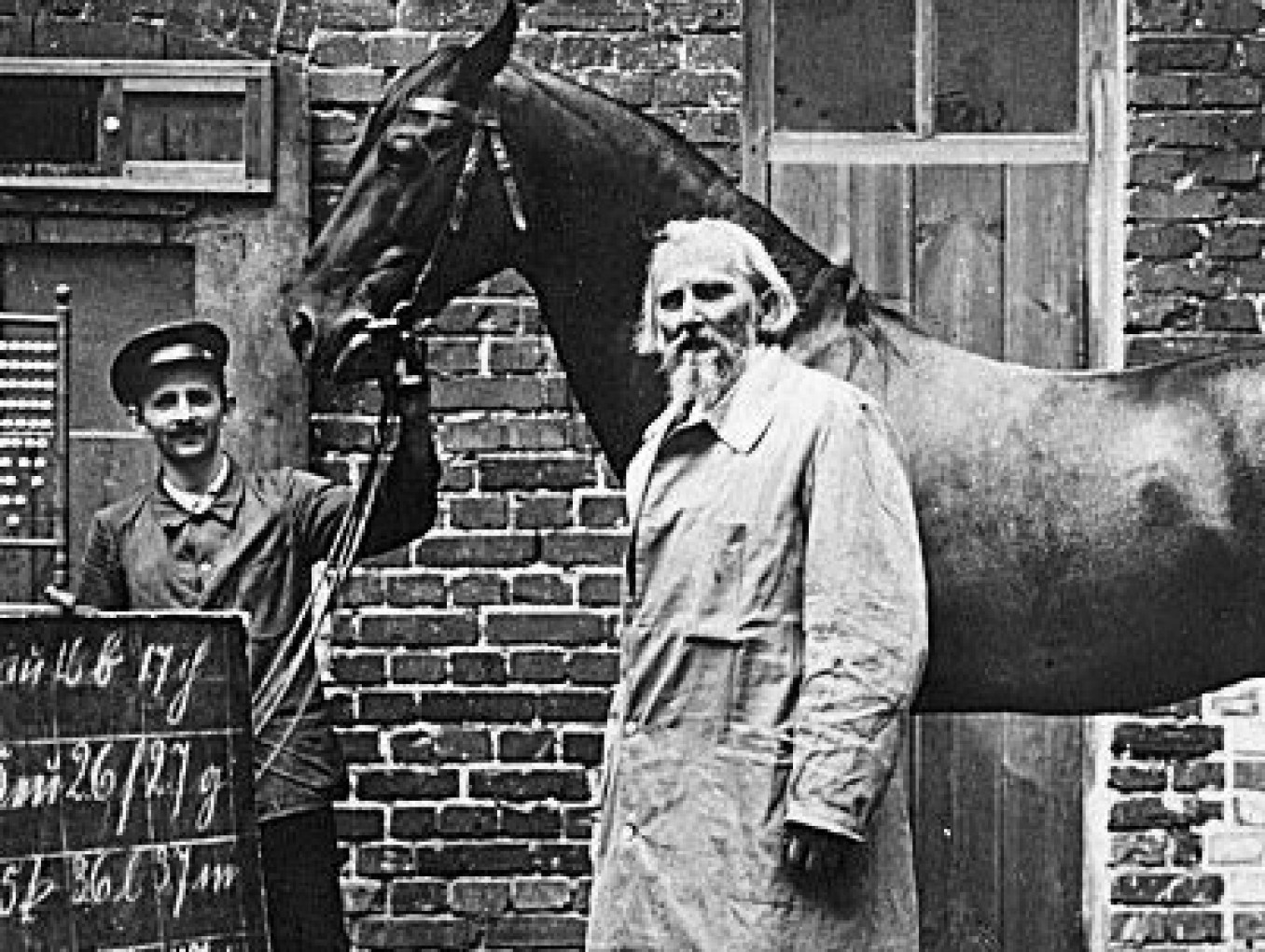 Wilhelm von Osten und der kluge Hans