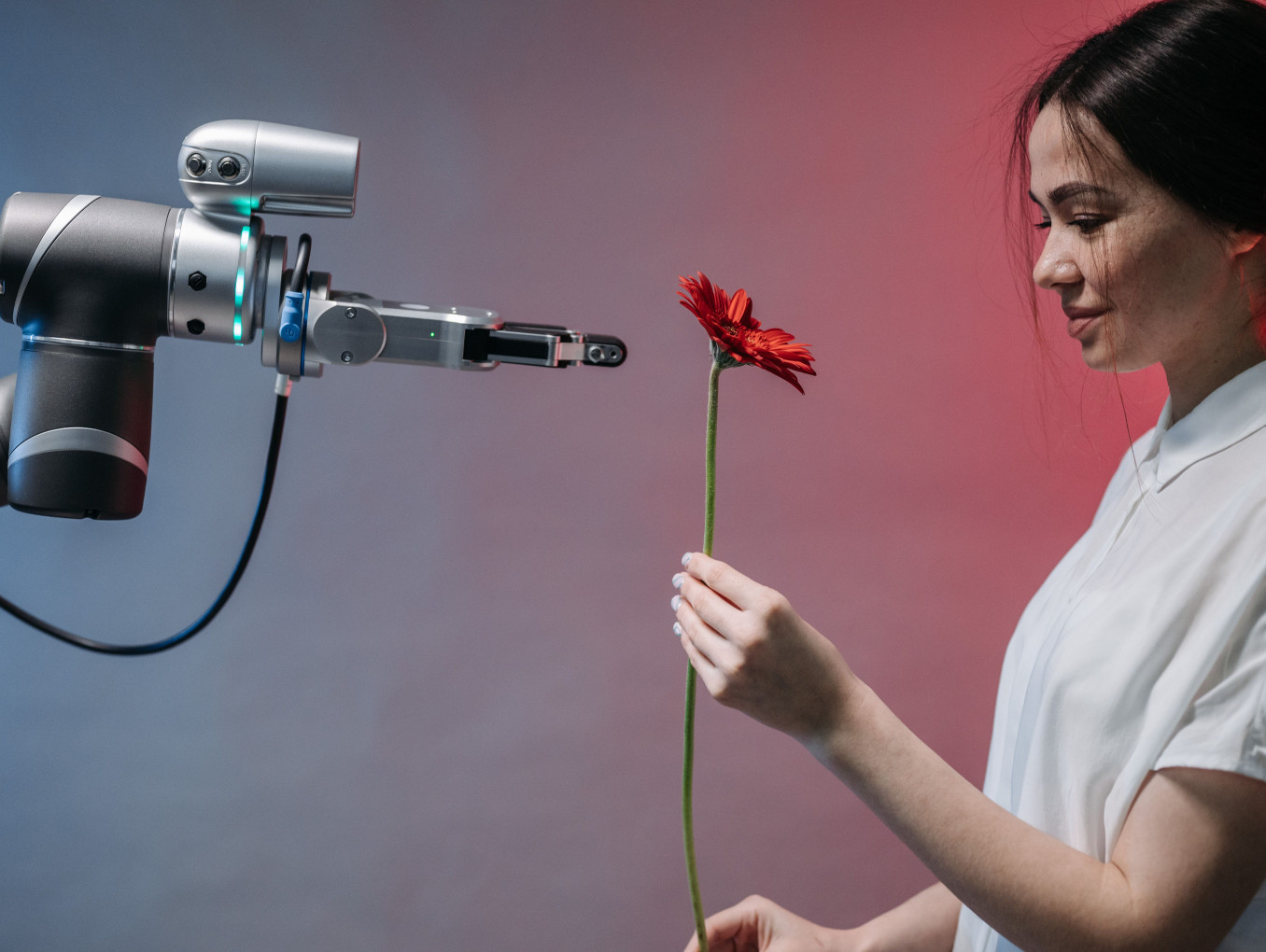 Roboterarm reicht einer Person eine Blume