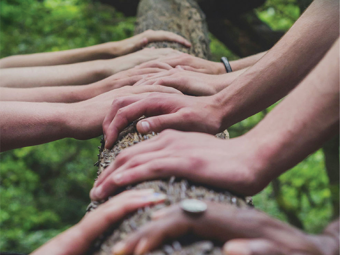 hands on a tree