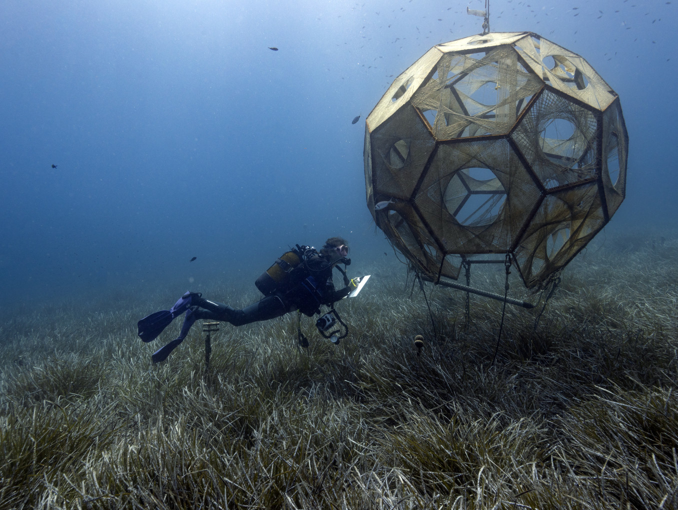 «Kiki Prototype.» Design: Rasa Weber, rasaweber.com. Photo: Stéphane Jamme @stepp_aquanaute. PhD Project: «SymbiOcean». Location: STARESO - Calvi (FR). Diver: Noémie Chabrier. Date: June 2023. @rasaweber @nonosousleau @mattersofactivity @interactiondesign_zhdk #symbiocean. SNF research project: «Interfacing the Ocean». Hosting University: Zurich University of the Arts & University of Art and Design Linz.