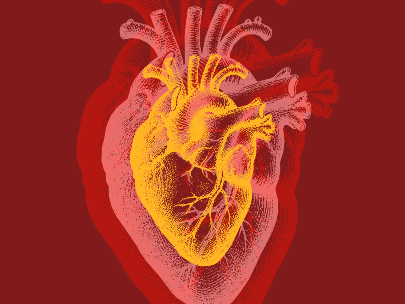 A colored illustration of a pulsing heart.