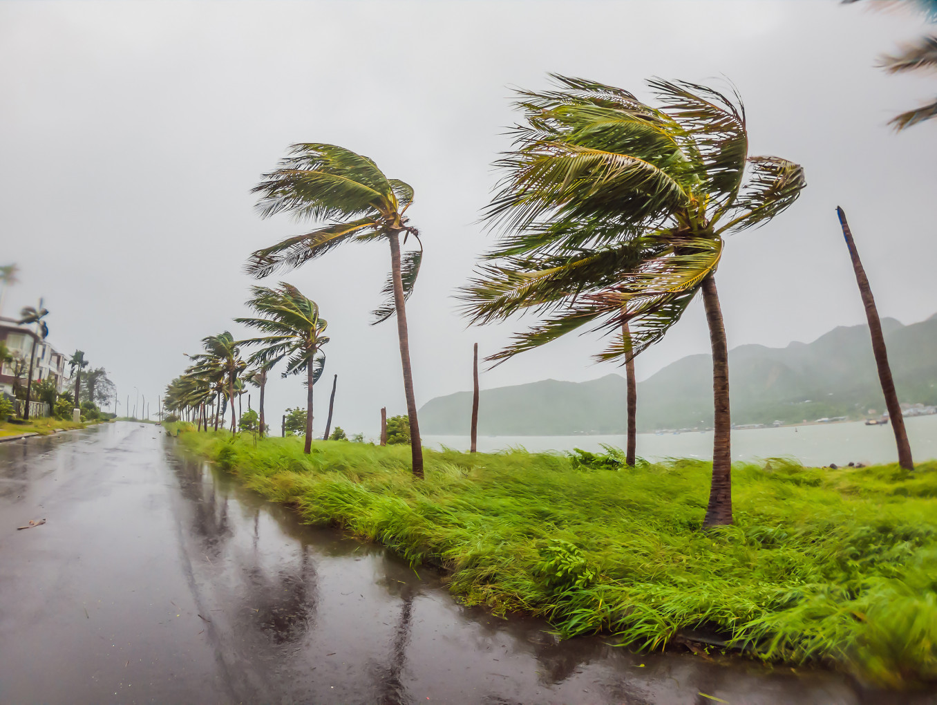 In the picture you can see an island. A tropical storm, heavy rain and high winds in tropical climates, palm trees. 