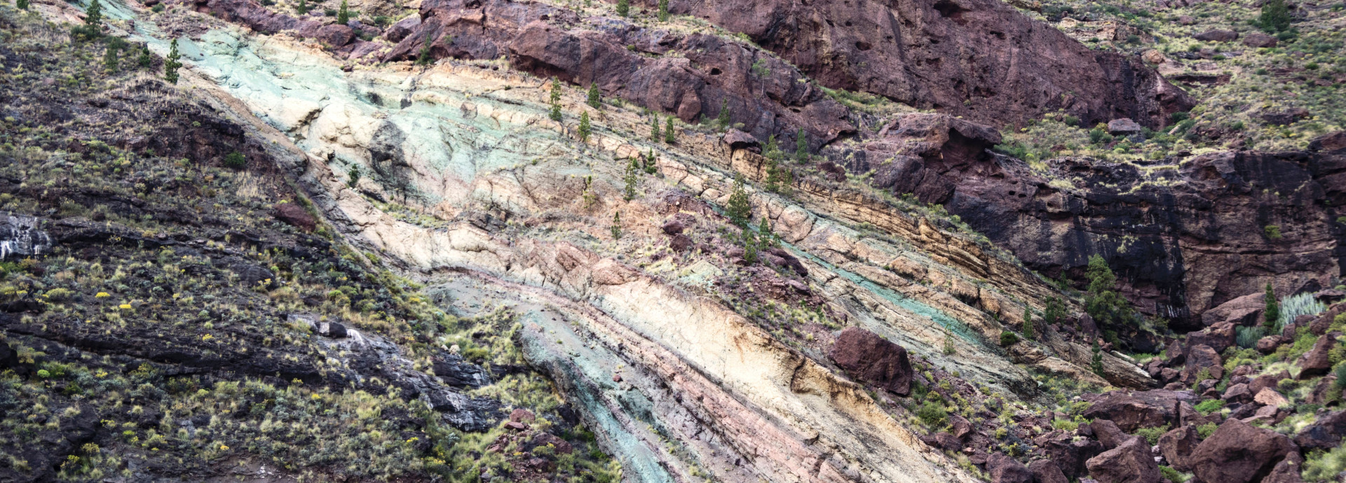 layers of earth history geology timeline