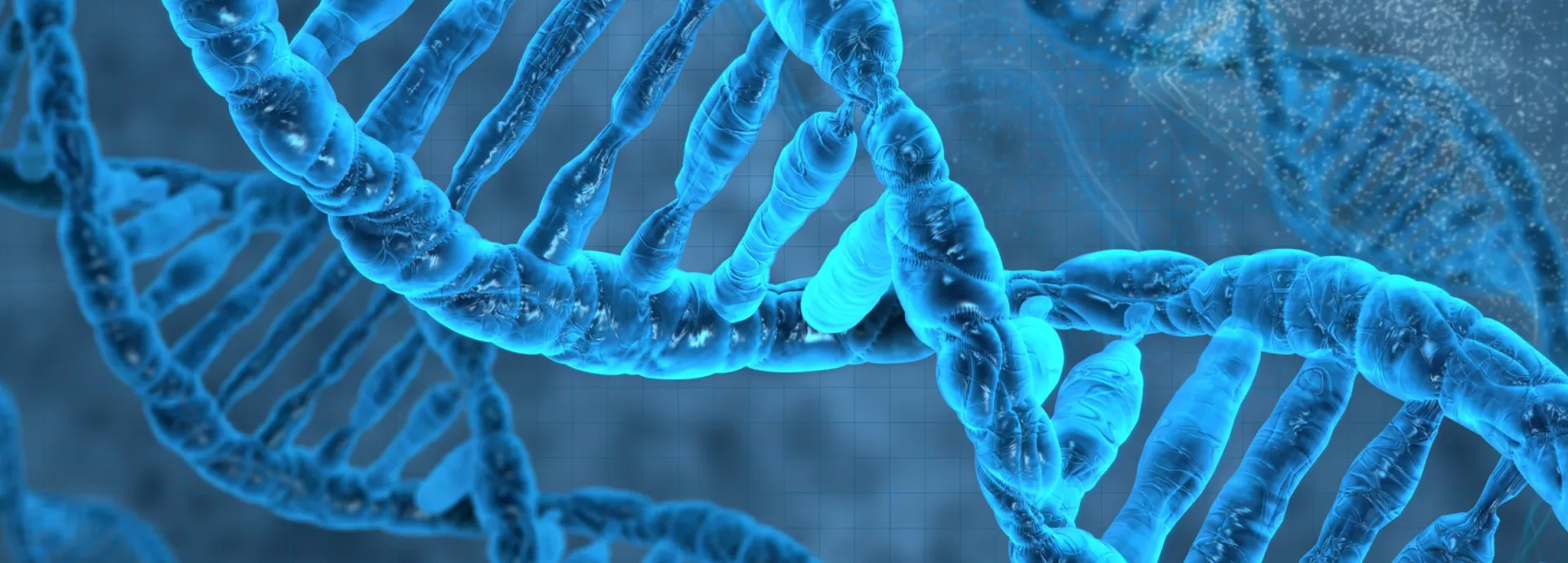 dna strand