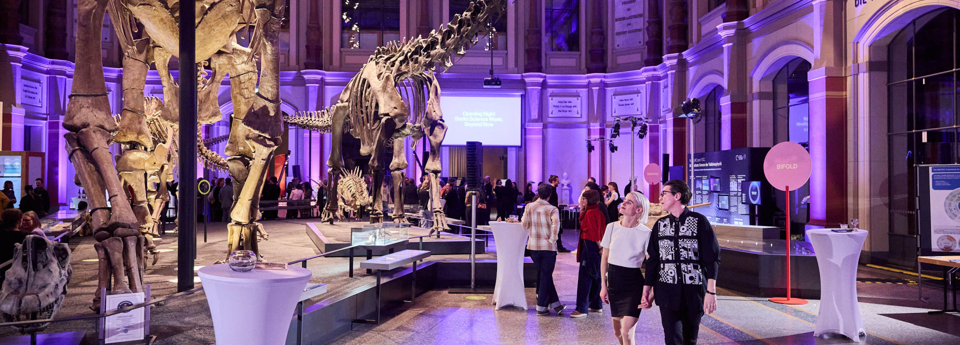 Dinosaal Museum für Naturkunde Berlin violett angeleuchtet