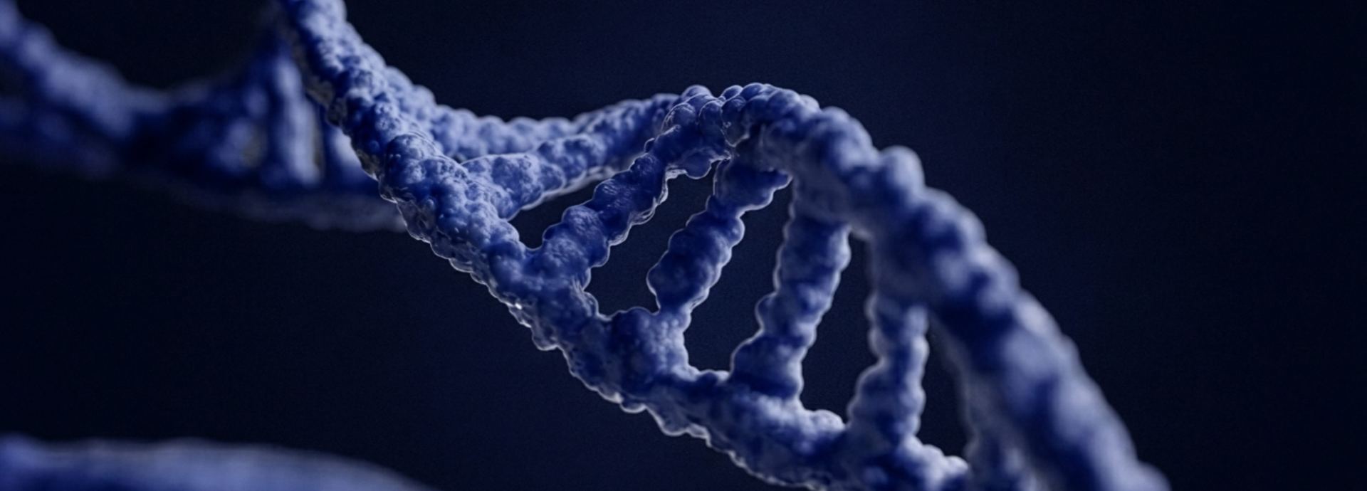 Strand of DNA