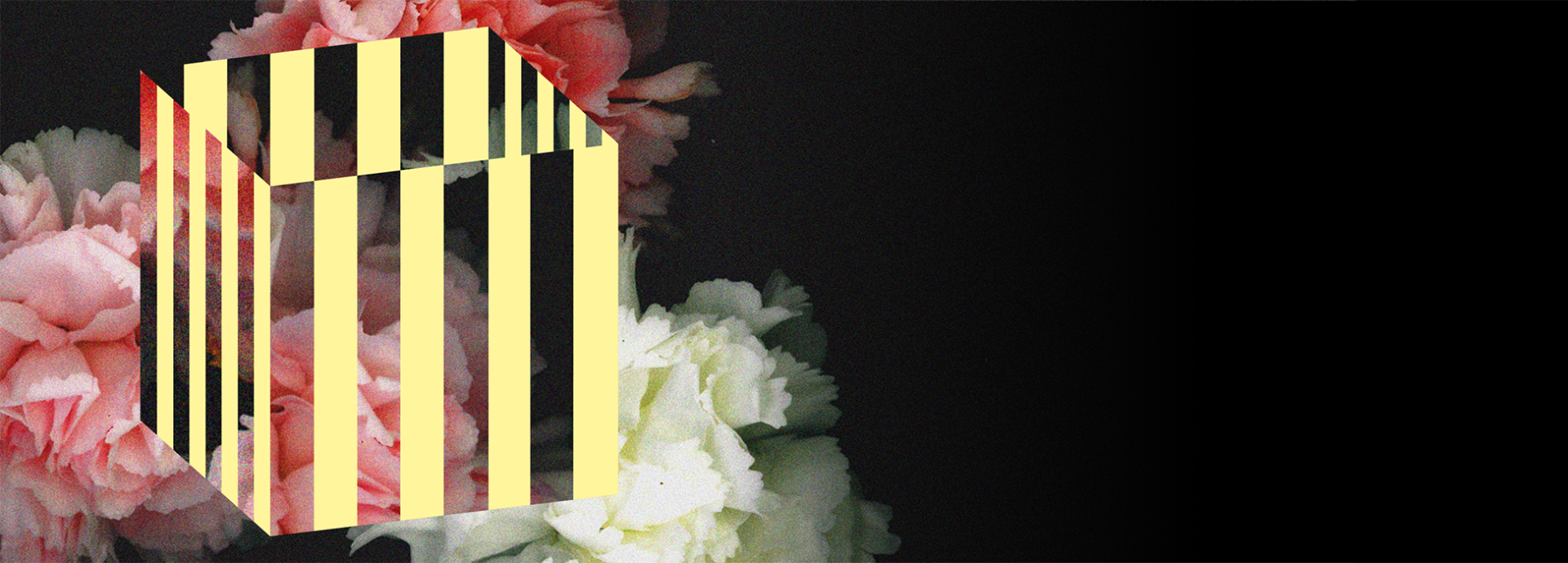 A flower cube with yellow stripes