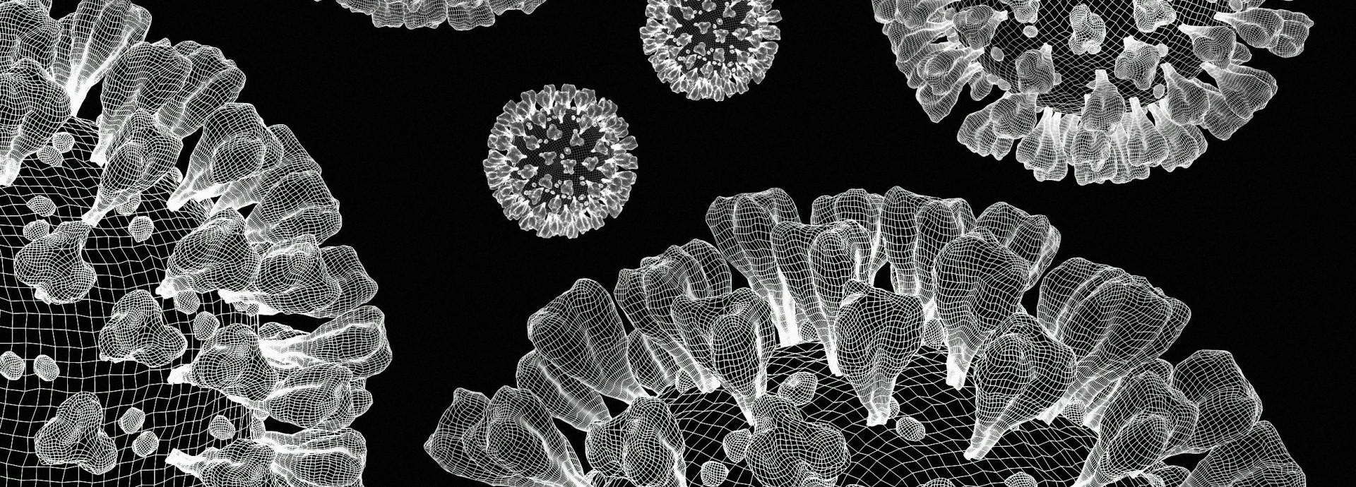 A grid depiction of the COVID 19 Virus