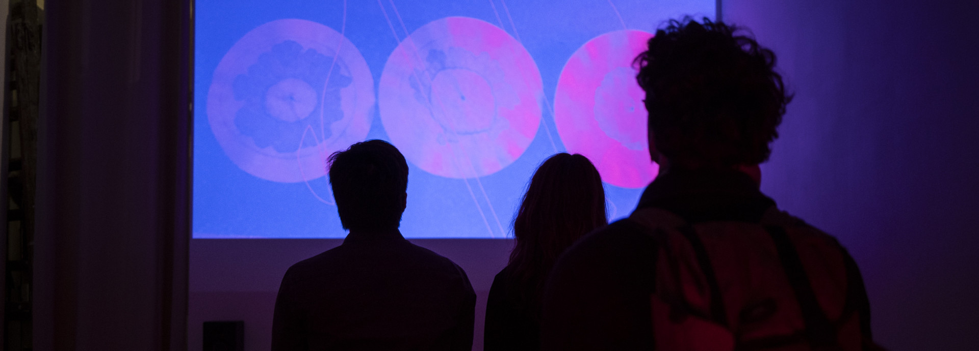 People watch a film in a dark room 