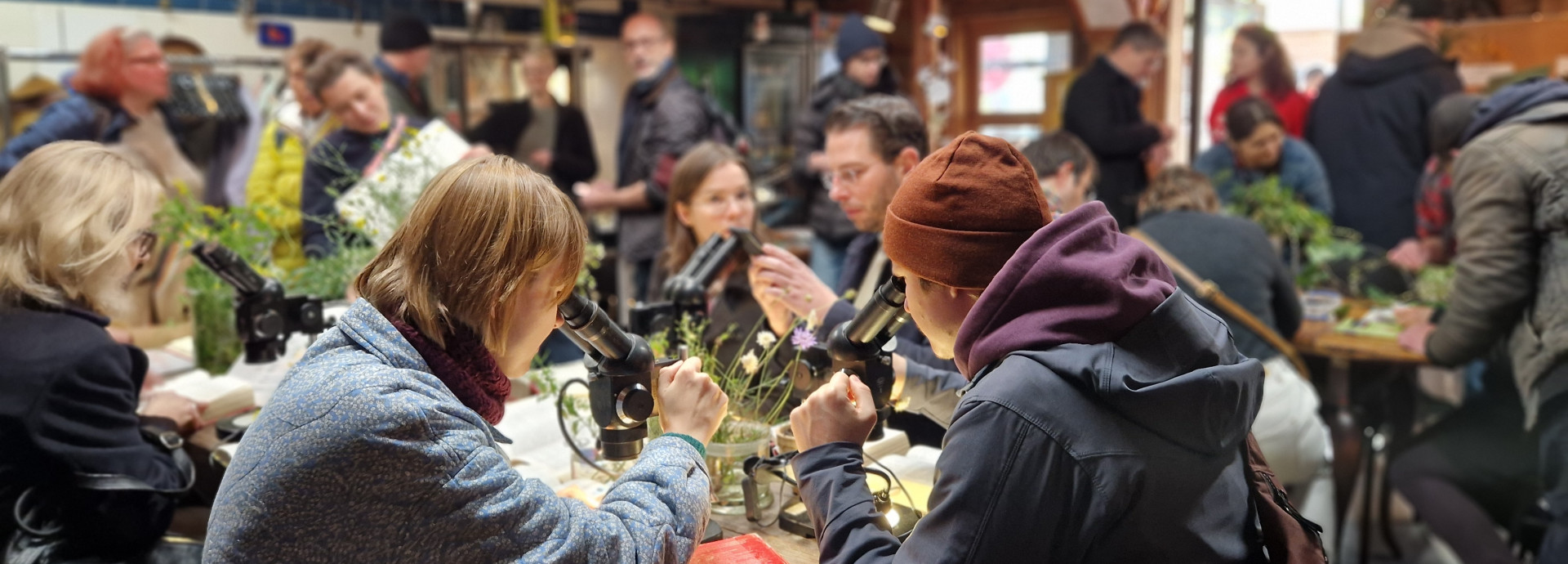 Young people look through microscopes. 