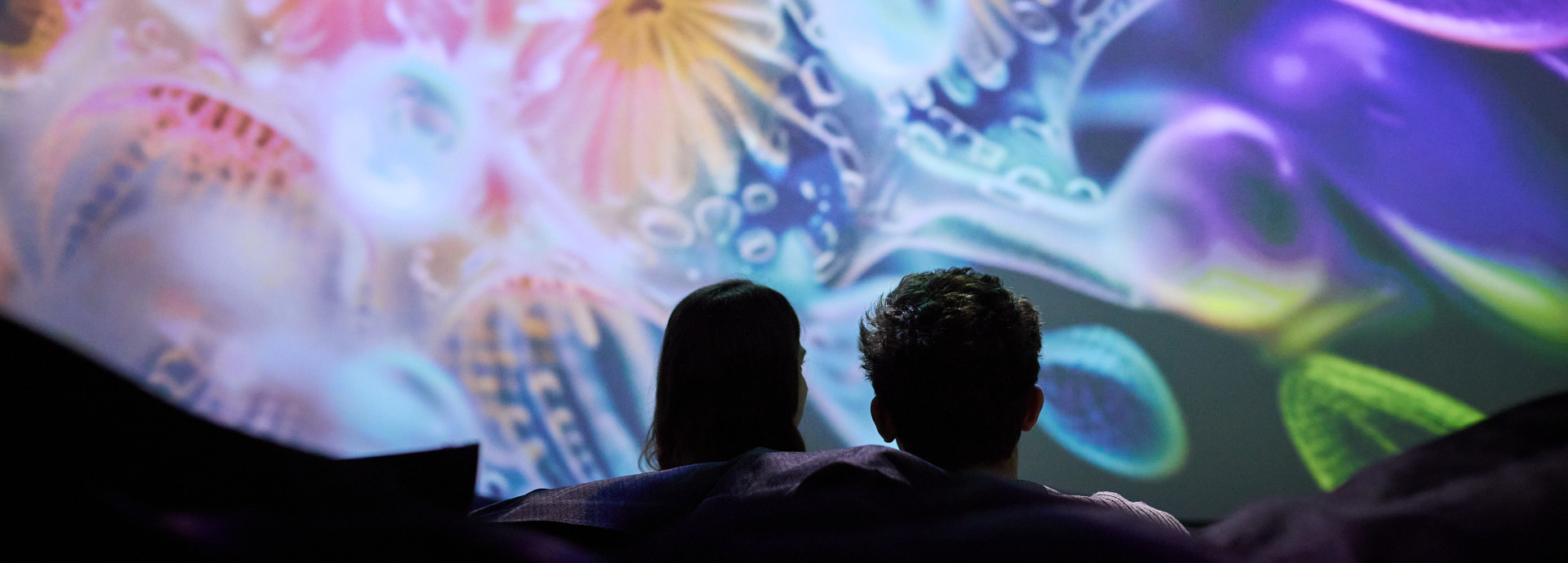 Two people looking at bubbles on a screen