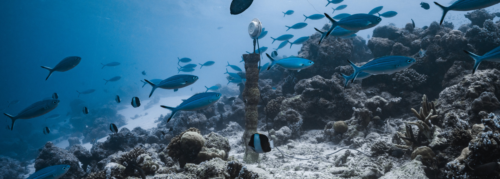 Sound sculpture under water